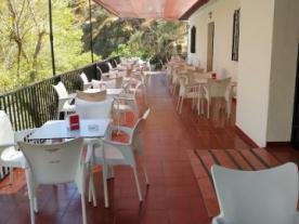 Bar Restaurante El Gollizno (Olivares)